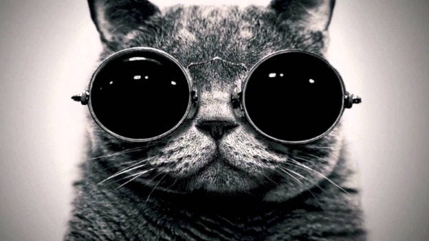  Gramatică! – Anton Bacalbaşa